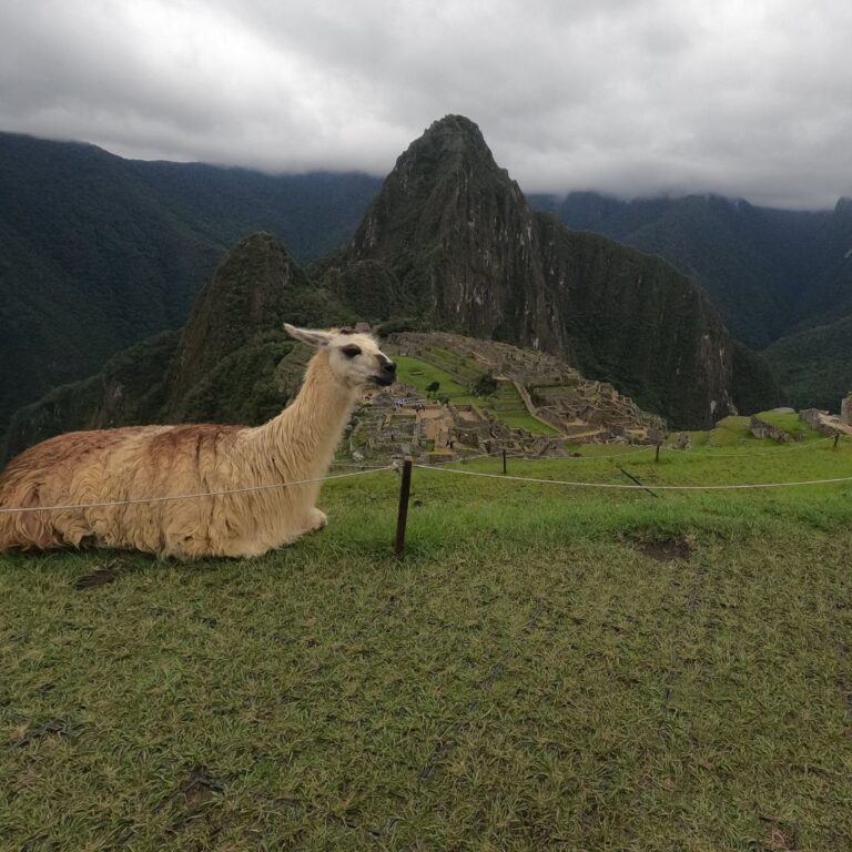 machu picchu tours from cusco