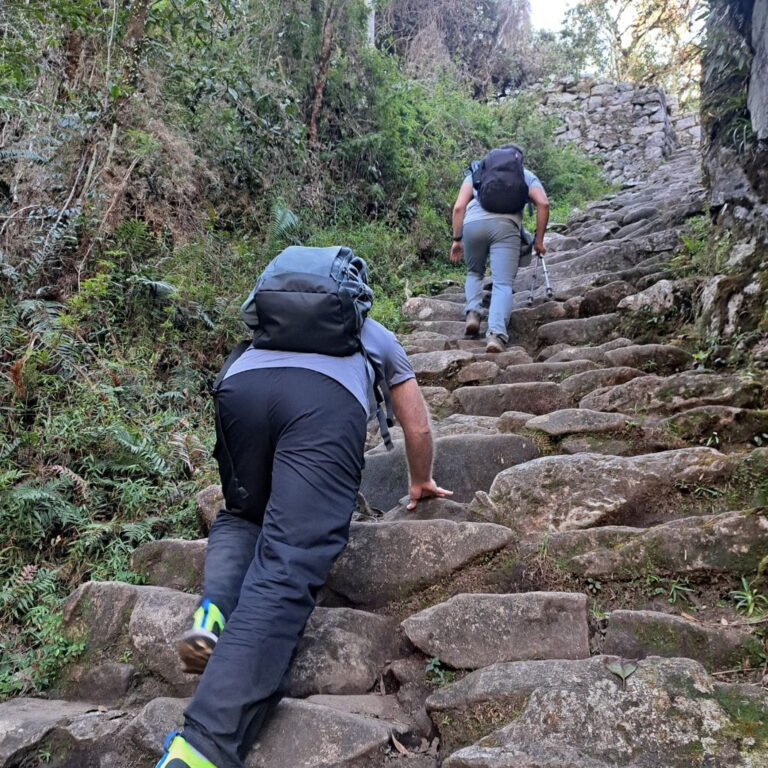 greengo chagllange