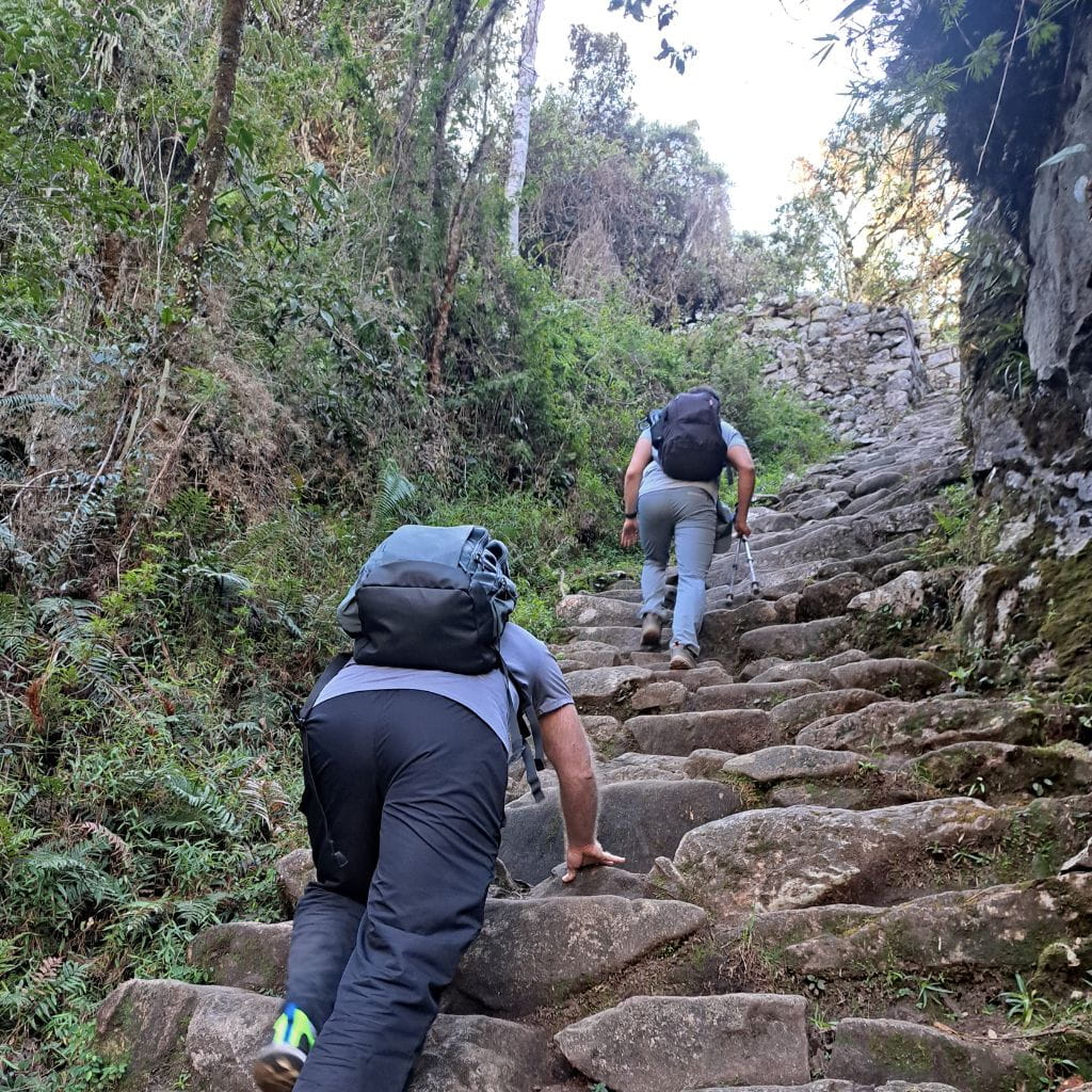 monkey steps